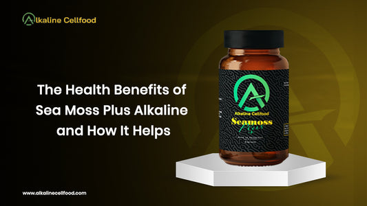 The Health Benefits of Dr Sebi Sea Moss Plus Alkaline and How It Helps